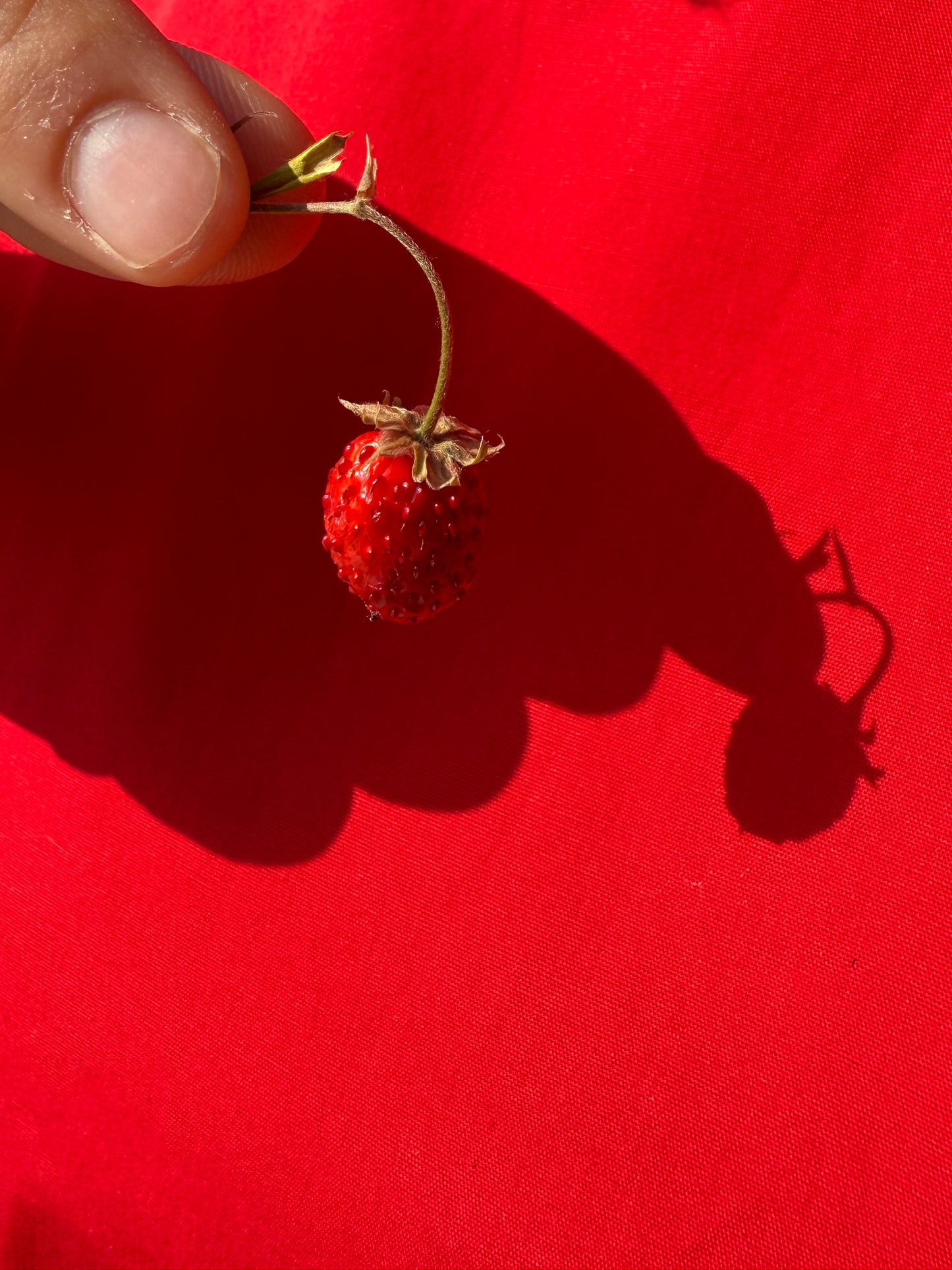 Abito Corallo rosso